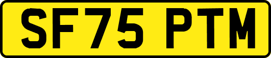 SF75PTM