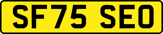 SF75SEO