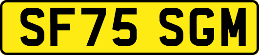 SF75SGM