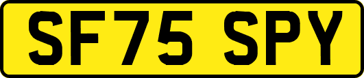 SF75SPY