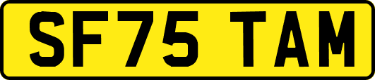 SF75TAM