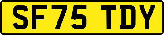 SF75TDY