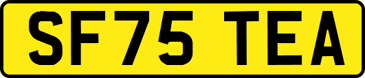 SF75TEA