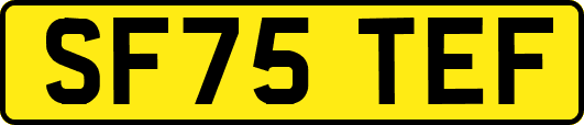 SF75TEF
