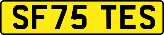 SF75TES