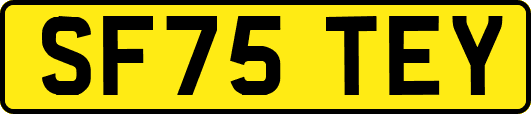 SF75TEY