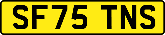 SF75TNS