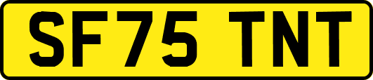 SF75TNT