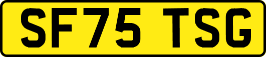 SF75TSG