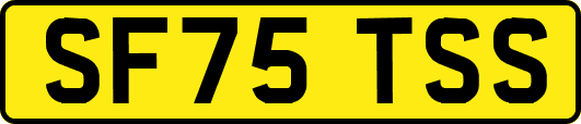 SF75TSS