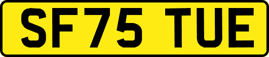 SF75TUE