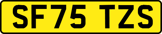 SF75TZS