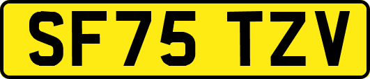 SF75TZV