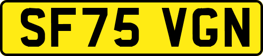 SF75VGN