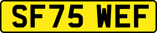 SF75WEF