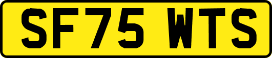 SF75WTS
