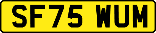 SF75WUM