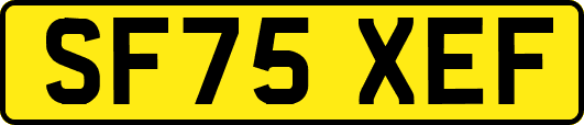 SF75XEF