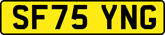 SF75YNG