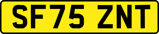 SF75ZNT