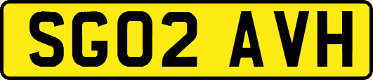 SG02AVH