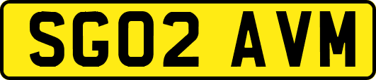 SG02AVM