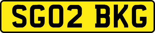 SG02BKG