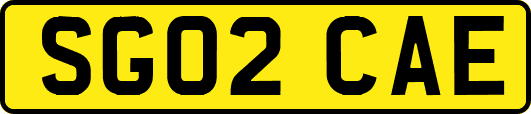 SG02CAE