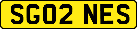 SG02NES