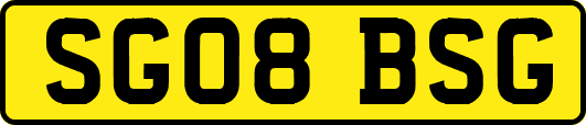 SG08BSG
