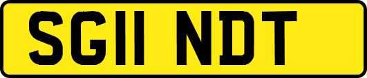 SG11NDT