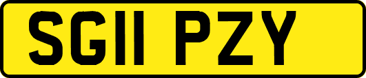 SG11PZY
