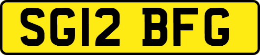 SG12BFG