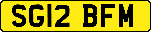 SG12BFM