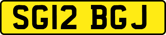 SG12BGJ