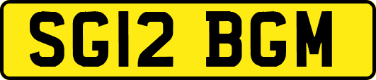 SG12BGM