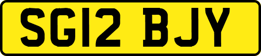 SG12BJY