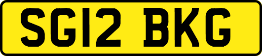 SG12BKG
