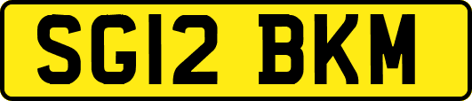 SG12BKM