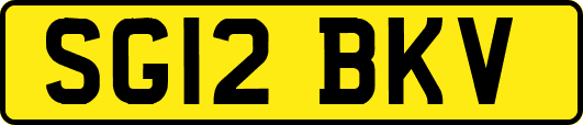 SG12BKV