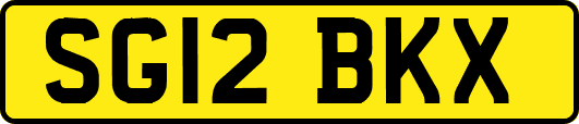 SG12BKX