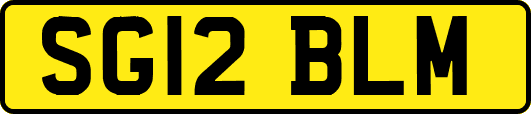 SG12BLM