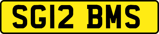 SG12BMS