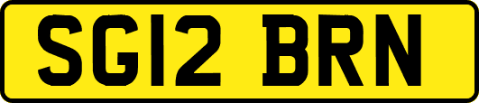 SG12BRN