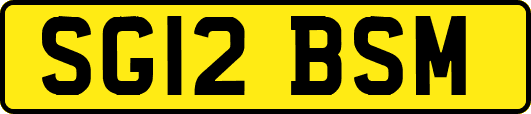 SG12BSM