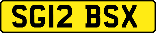 SG12BSX