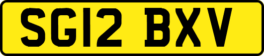 SG12BXV
