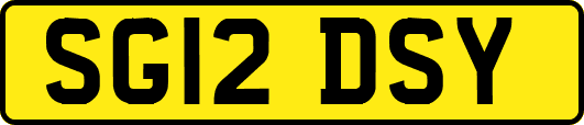 SG12DSY