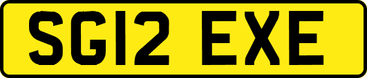 SG12EXE