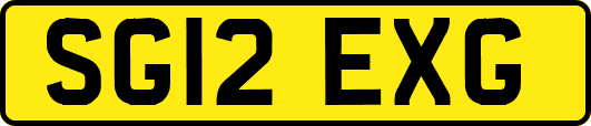 SG12EXG